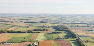 Sprijin pentru fermierii români, din fonduri europene