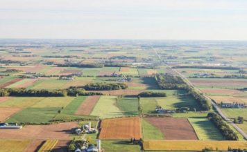 Sprijin pentru fermierii români, din fonduri europene