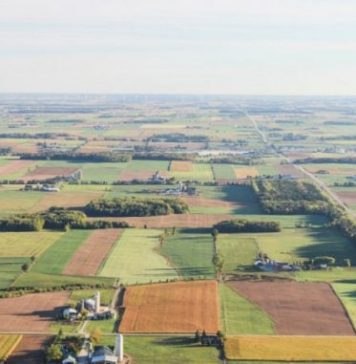 Sprijin pentru fermierii români, din fonduri europene