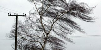 Meteo: Avertizările de ceață și vânt, prelungite