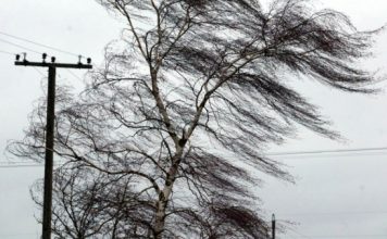 Meteo: a venit primăvara, cu intensificări de vânt