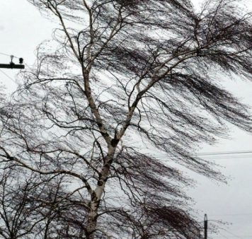 Meteo: a venit primăvara, cu intensificări de vânt