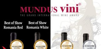 Noi medalii internaționale pentru vinurile Cramei Gîrboiu