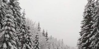 Zăpadă în Munții Vrancei. Se circulă greu pe DN 2D, la limita cu județul Covasna