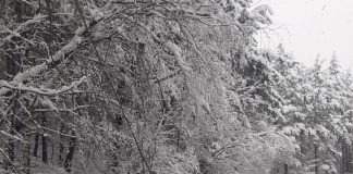 Recomandările polițiștilor pentru circulația autovehiculelor în condiții de iarnă