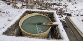 Și apele de la izvoarele din Soveja ar putea fi folosite terapeutic