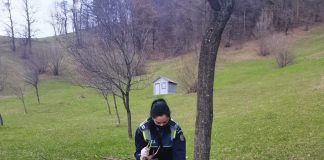 Căprior rănit, găsit pe DN2. Polițiștii au făcut dosar penal pentru braconaj cinegetic