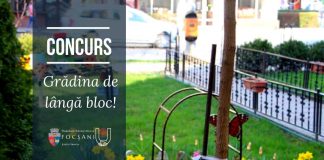 Focșănenii, chemați să amenajeze spațiile verzi din jurul blocurilor. Se dau și premii