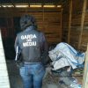 garda mediu