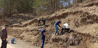 Activitate de voluntariat pentru reconstrucția ecologică a unor terenurilor degradate