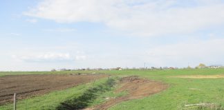 Amendă pentru gunoaiele aruncate pe un teren din Cartierul Mândrești