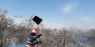FOTO Incendiu de vegetație la Panciu