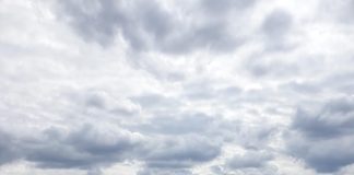 FOTO IPJ Vrancea: zeci de amenzi și confiscări de lemne în urma controalelor din ultimele zile