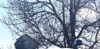 Șoferul autoturismului implicat în accidentul de la Golești a murit