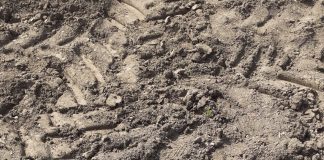 FOTO Proiectile explozive găsite la Tișița și Haret