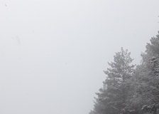 FOTO Iarna nu se dă dusă nici din Munții Vrancei