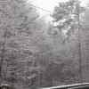 munte 2