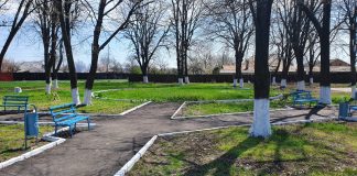 FOTO Acțiuni de ecologizare în toate cartierele și satele aparținătoare municipiului Adjud