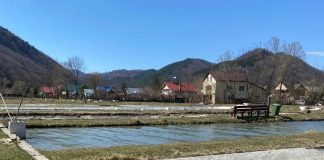 Un nou pas spre modernizarea Păstrăvăriei Lepșa: studiul de fezabilitate a ajuns la CNI