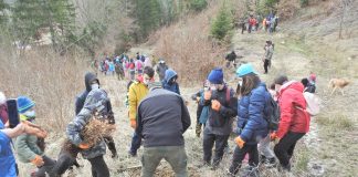 FOTO Acțiune de împădurire în Munții Vrancei