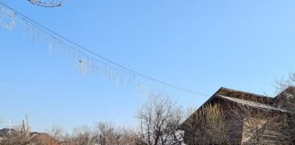 FOTO Descindere a polițiștilor și a comisarilor de mediu la Slobozia Bradului