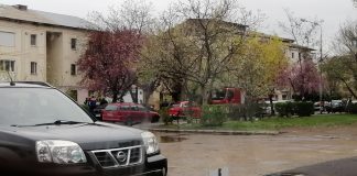 ULTIMA ORĂ Intervenție pentru salvarea unui câine aflat la înălțime