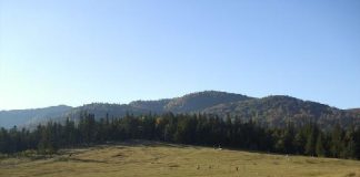 VIDEO Acces restricționat în Poiana Punga din Soveja. Zona va fi amenajată pentru revigorarea turismului