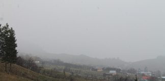 VIDEO A nins la Vintileasca