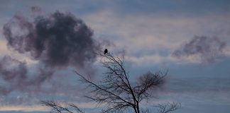 Meteo: vreme destul de rece în prima jumătate a lunii aprilie