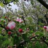 IMG_20210501_102642