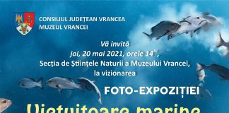 Foto-expoziție ”Viețuitoare marine”, la Muzeul Vrancei