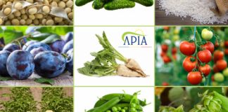 APIA a început plățile aferente schemelor de sprijin cuplat în sectorul vegetal-Campania 2020