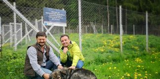 Canisa de la Lepșa, cu exemplare din rasa Ciobănesc Românesc Carpatin, un exemplu de bună practică