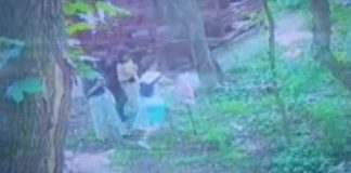 VIDEO Adolescenți filmați când distrug un panou în Crângul Petrești