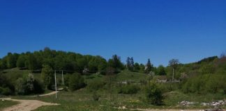 FOTO Gunoaiele aruncate pe câmp, o problemă nerezolvată (și) la Soveja. Premii pentru care care filmează ”poluatorii”