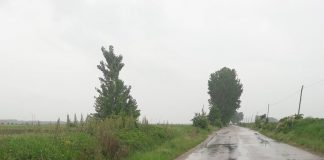 FOTO Drumul județean care traversează comuna Ploscuțeni pare uitat de autorități
