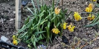 Evanghelia a rămas intactă în biserica făcută scrum de la Topești