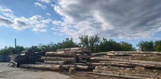 IPJ Vrancea: amenzi și confiscări de lemne, în urma unor controale desfășurate marți