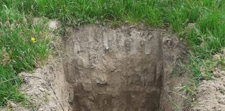 VIDEO Proiectile și bombe găsite pe raza județului, distruse de pirotehniștii vrânceni