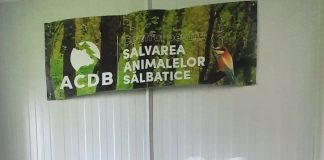 Concentrator de oxigen pentru salvarea animalelor sălbatice