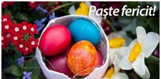 Adrian Gavrilă, primarul comunei Bordești: „Sărbători fericite!”