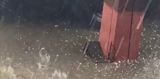 VIDEO Ploaie de vară, cu grindină, la Adjud