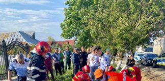 Pompierii și paramedicii s-au mobilizat pentru salvarea răniților din accidentul de pe E85