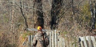 Garda Forestieră Focșani angajează 3 silvicultori cu studii superioare