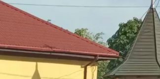 VIDEO Accident pe E85, la Golești