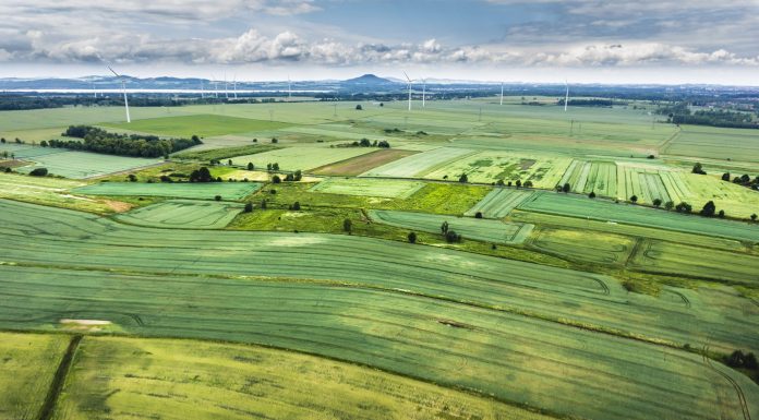 Înțelegeri anticoncurențiale pe piața semințelor de cultură și a produselor pentru protecția plantelor / Sancțiuni pentru mai multe companii, unele legate (și) de Vrancea