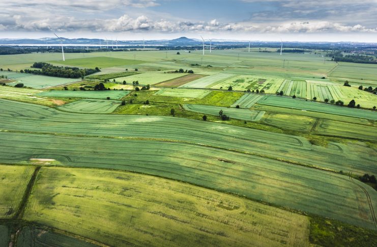Înțelegeri anticoncurențiale pe piața semințelor de cultură și a produselor pentru protecția plantelor / Sancțiuni pentru mai multe companii, unele legate (și) de Vrancea