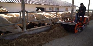 VIDEO Una dintre cele mai mari ferme de vaci din județ, scoasă la vânzare de proprietar