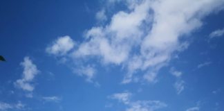 VIDEO O butelie montată greșit a provocat un incendiu la Vârteșcoiu