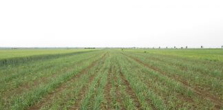 Aproape jumătate dintre chestionarele Recensământului General Agricol din Vrancea au fost completate